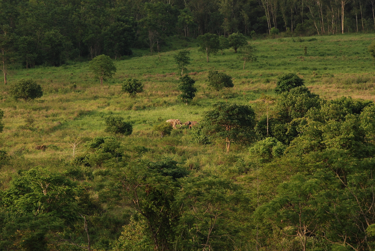 kuiburi national park